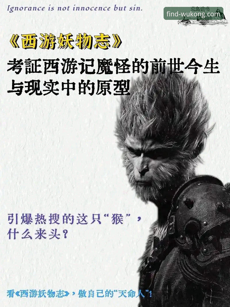 揭秘悟空体育app下载安装全流程，这些隐藏细节新手绝对不知道